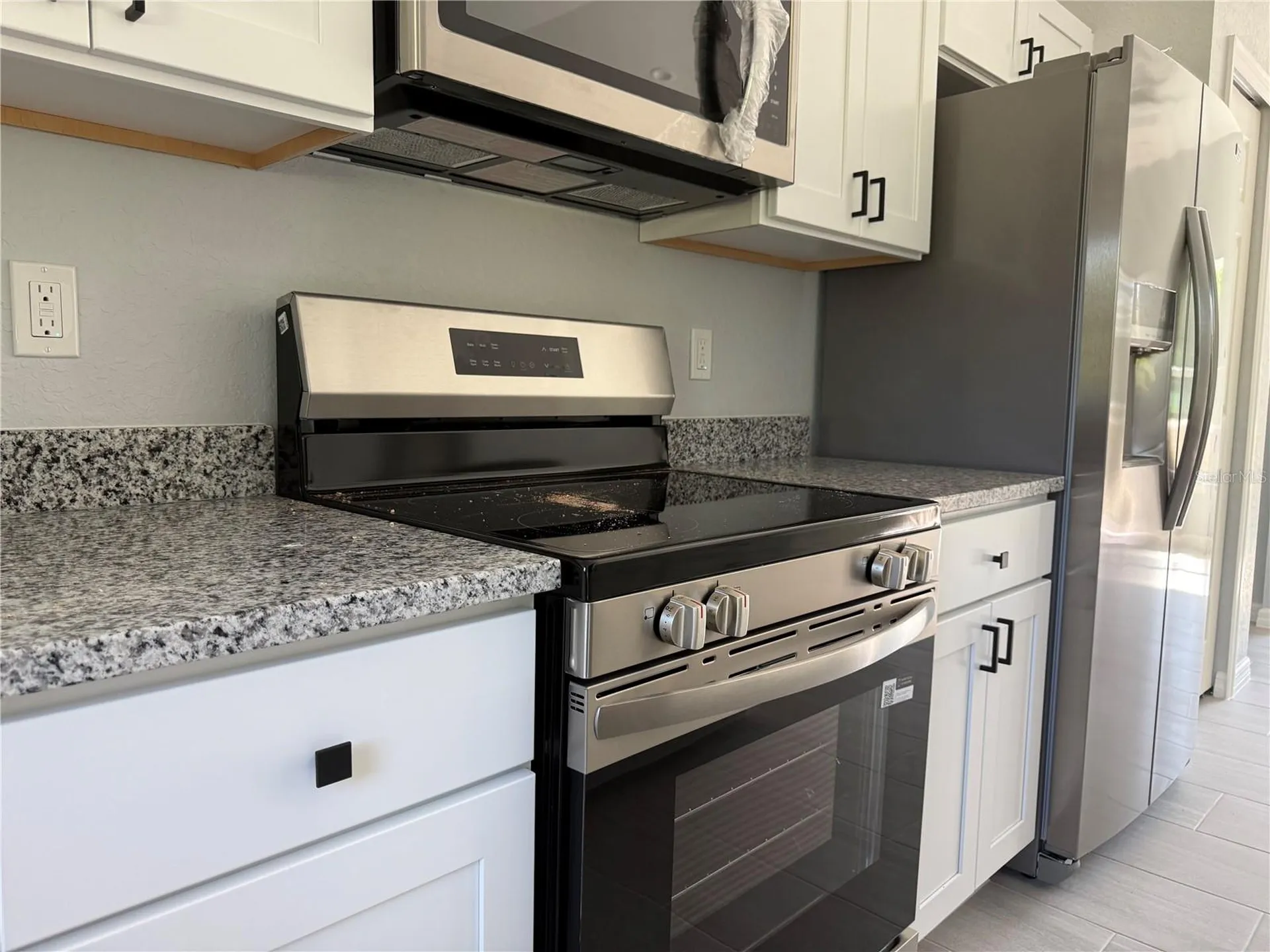 3 Guava Place Drive Ocklawaha FL 32179