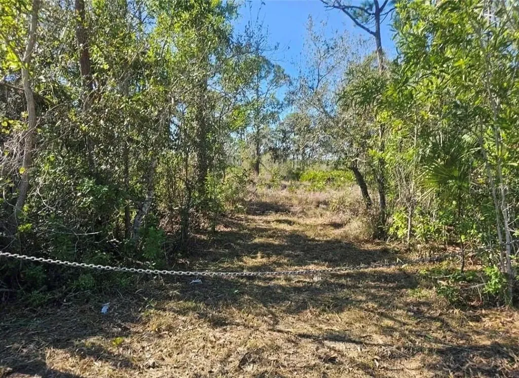 4170 Old Burnt Store Road Cape Coral FL 33993