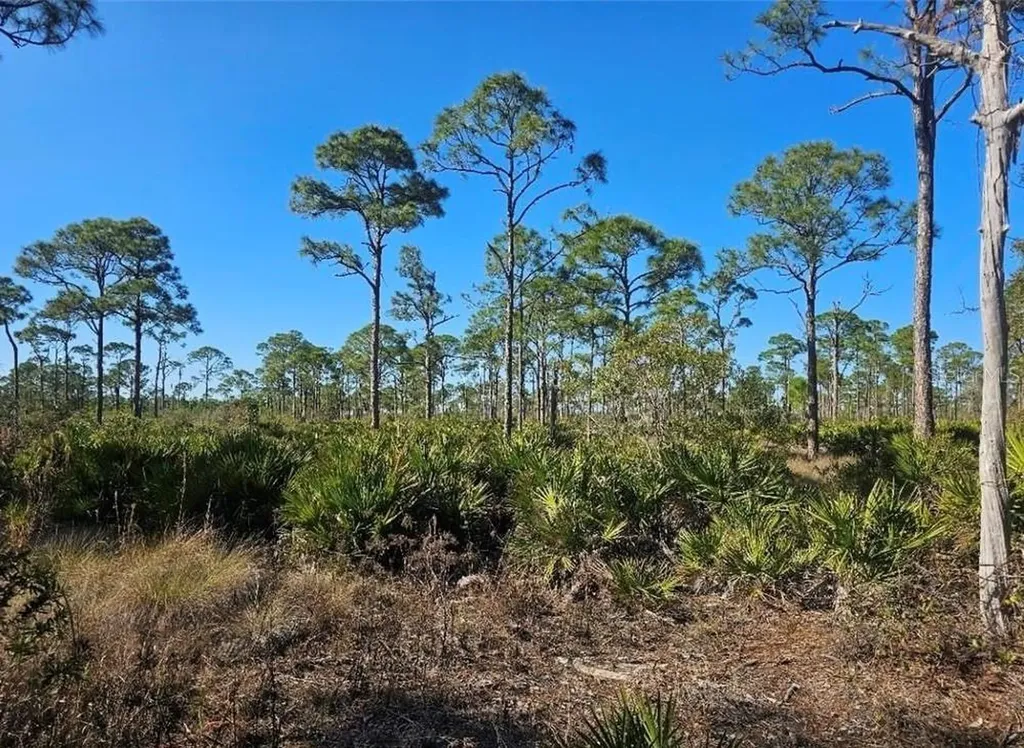 4170 Old Burnt Store Road Cape Coral FL 33993