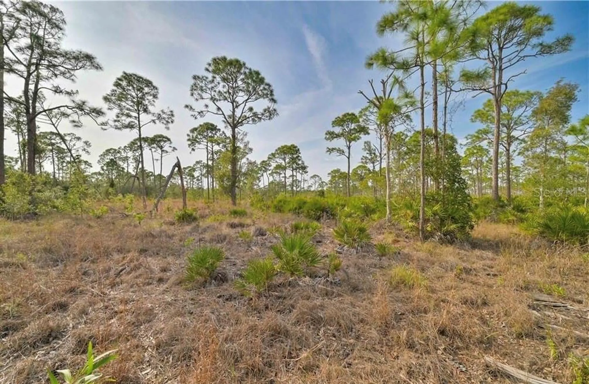 4170 Old Burnt Store Road Cape Coral FL 33993