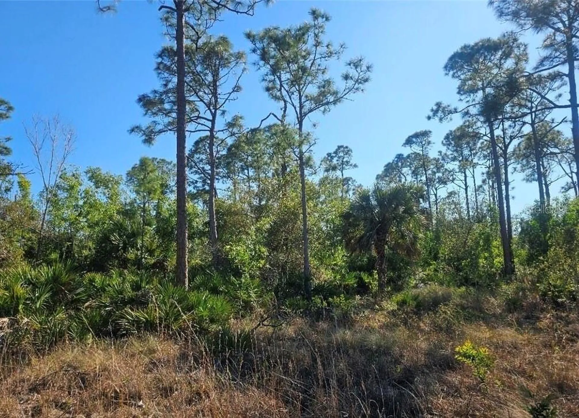 4170 Old Burnt Store Road Cape Coral FL 33993