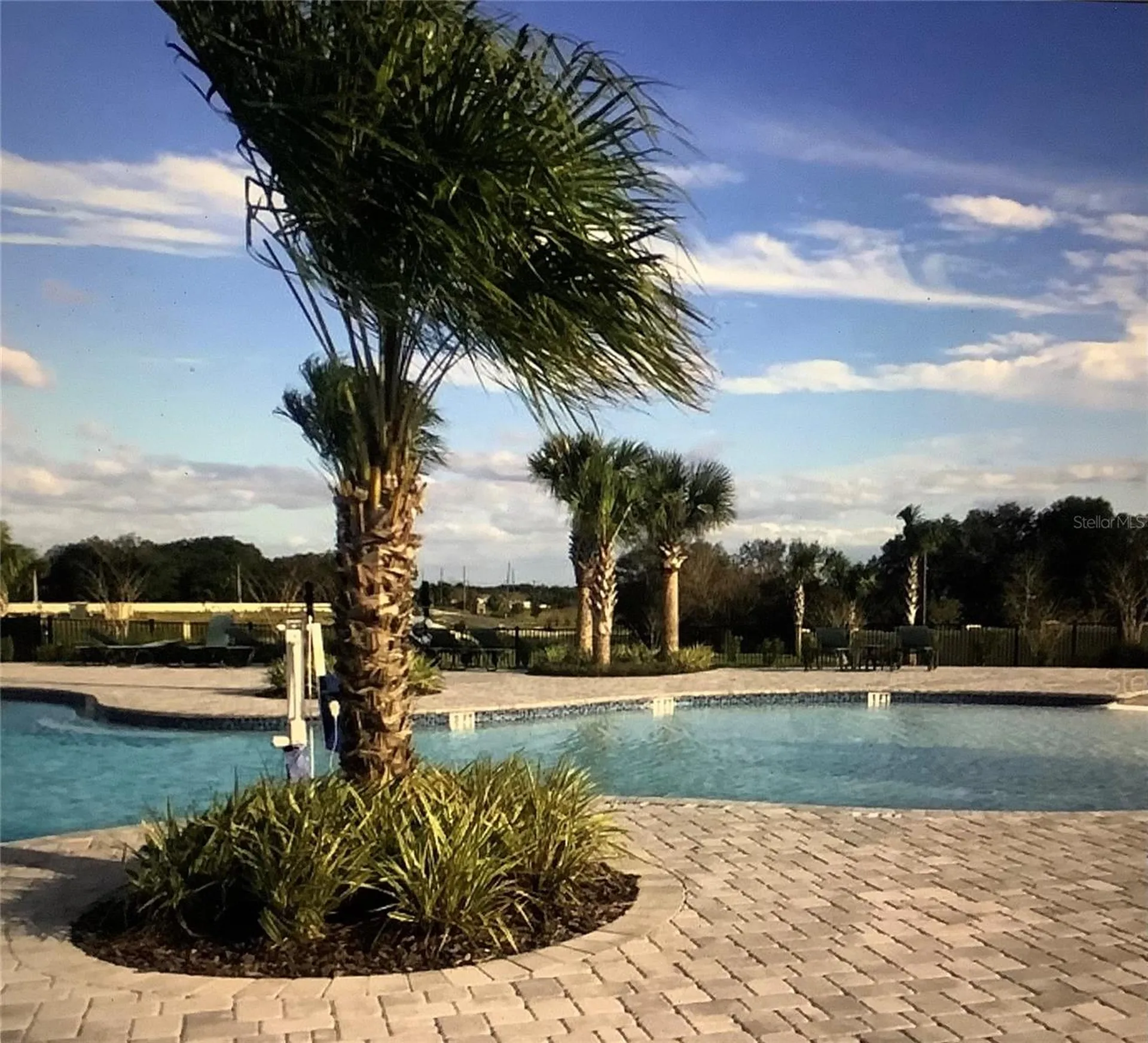 569 Disa Drive Davenport FL 33837