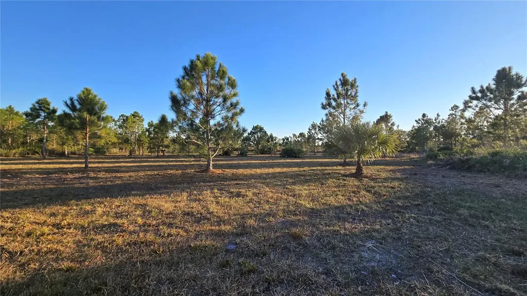 17718 NW 266th Street Okeechobee FL 34972