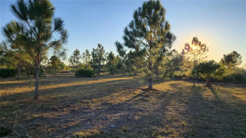 17718 NW 266th Street Okeechobee FL 34972