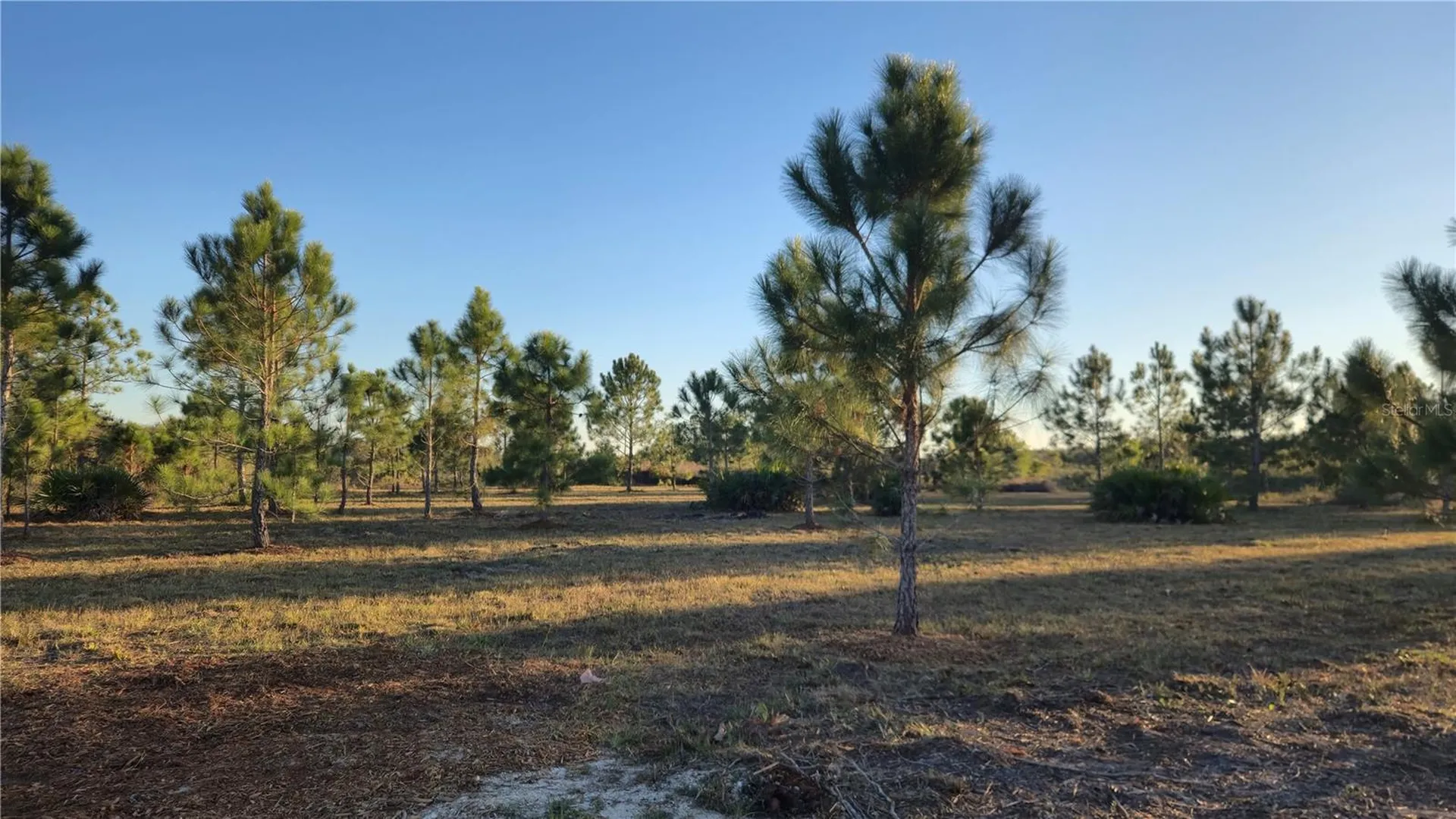 17718 NW 266th Street Okeechobee FL 34972