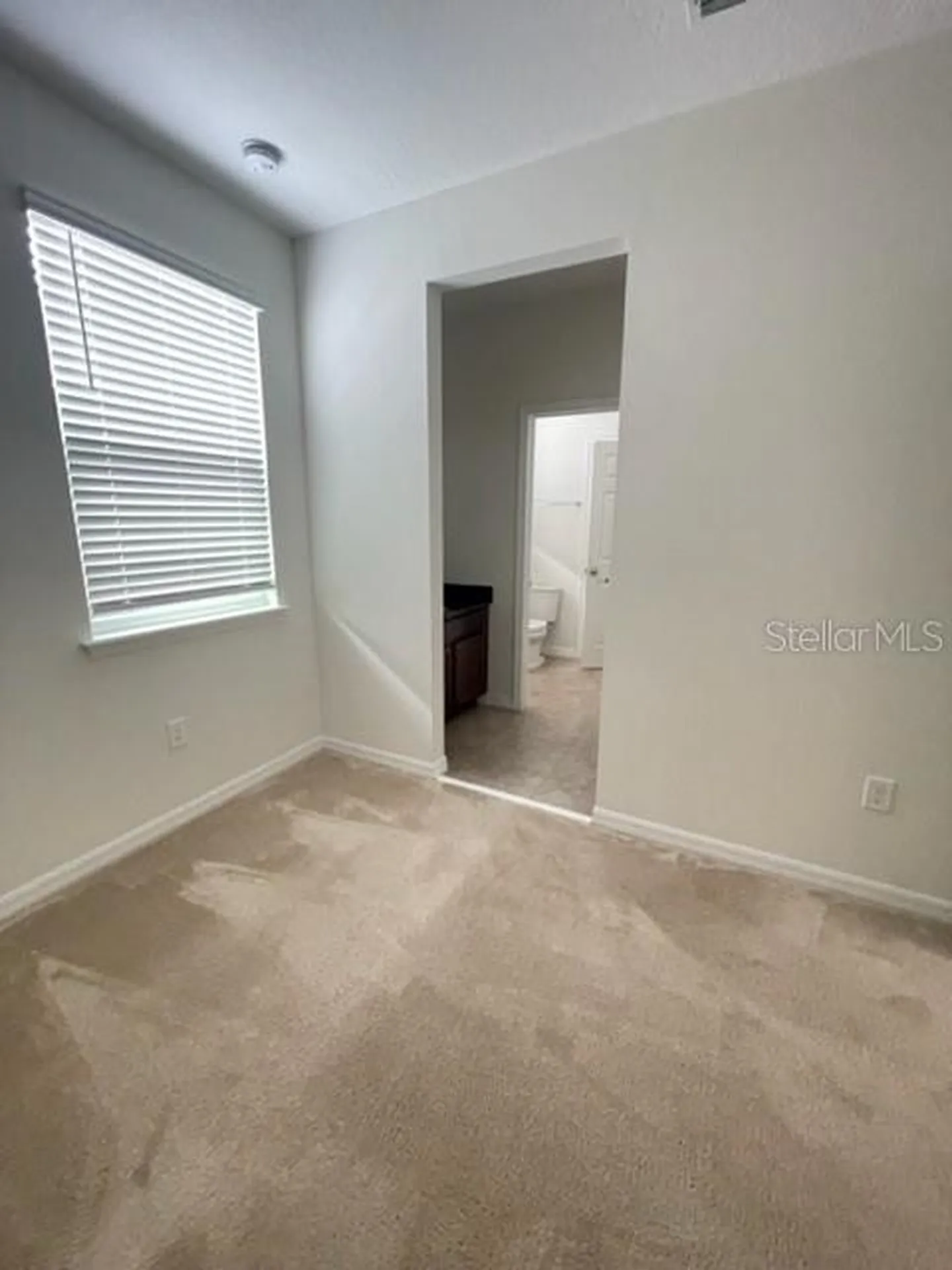 10103 Austrina Oak Loop Winter Garden FL 34787