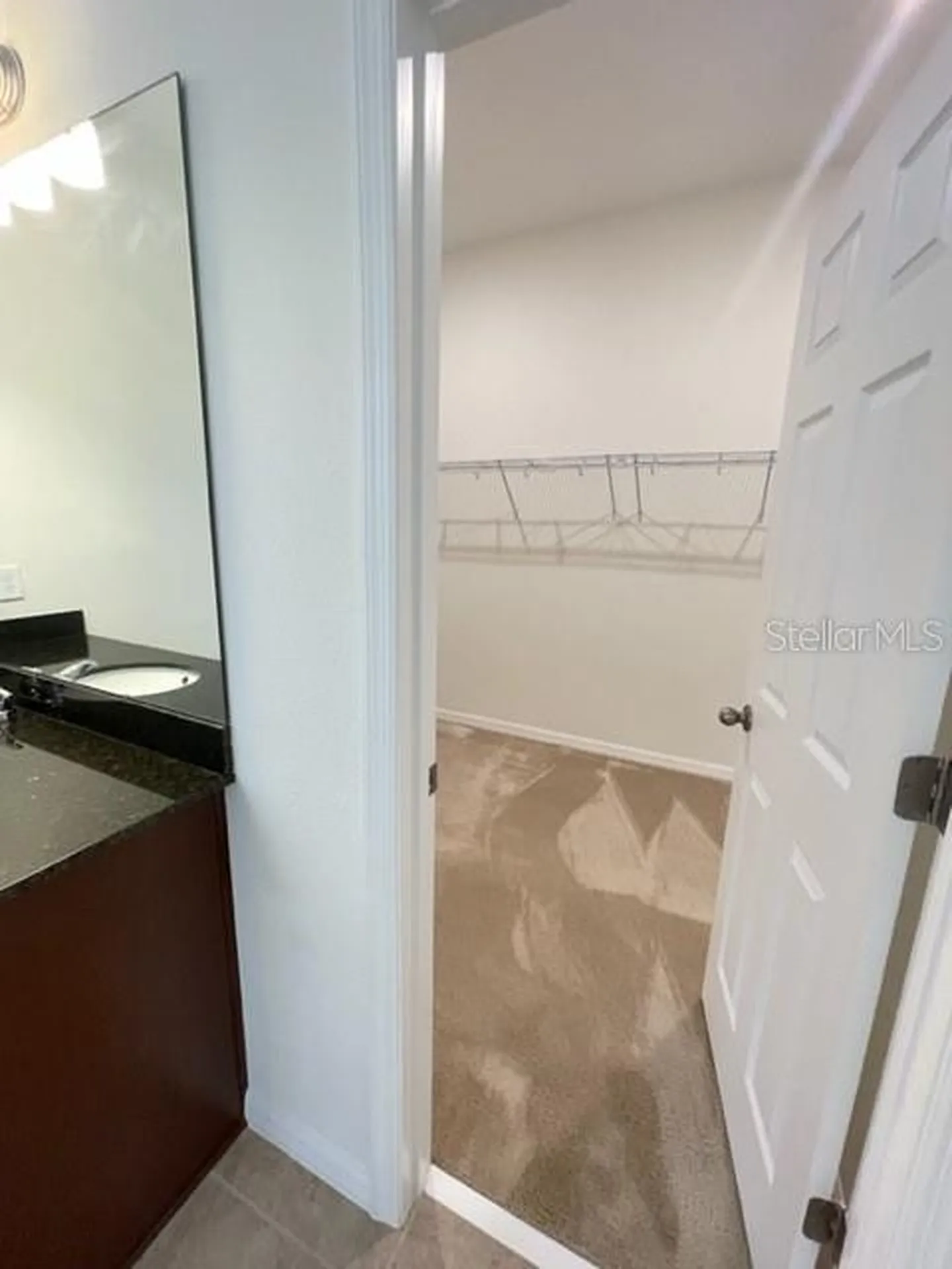 10103 Austrina Oak Loop Winter Garden FL 34787