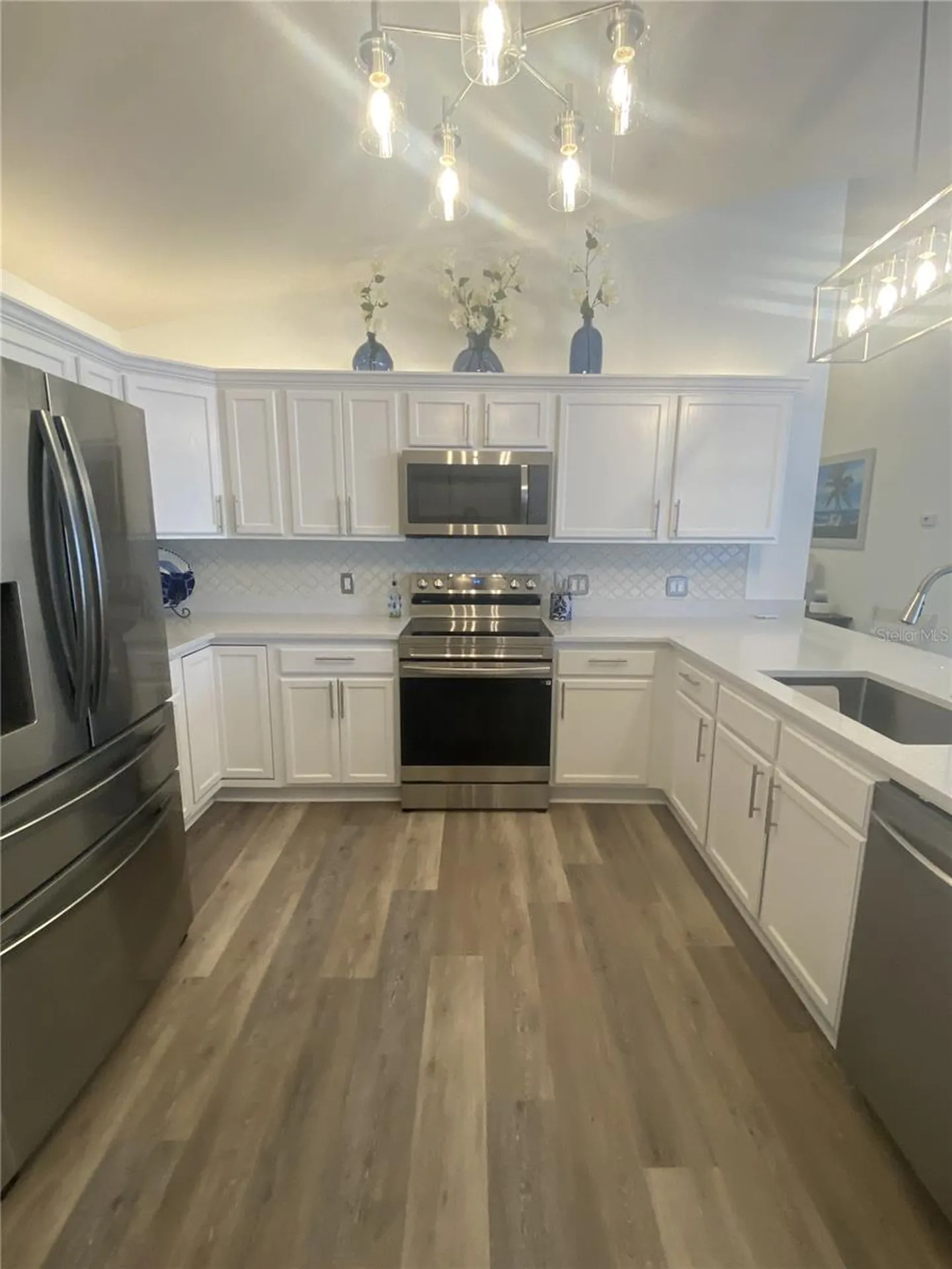 1648 Abasco Court The Villages FL 32162
