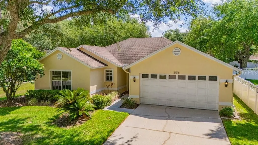 17610 Esprit Drive Tampa FL 33647