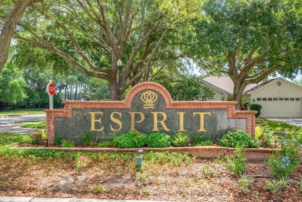 17610 Esprit Drive Tampa FL 33647