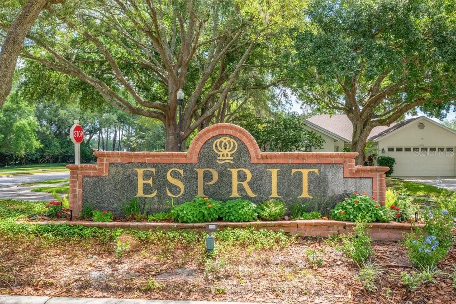 17610 Esprit Drive Tampa FL 33647