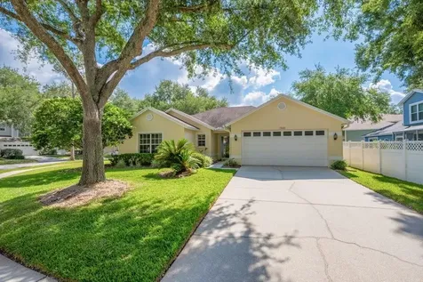 17610 Esprit Drive Tampa FL 33647