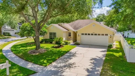 17610 Esprit Drive Tampa FL 33647