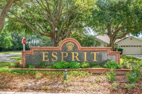17610 Esprit Drive Tampa FL 33647