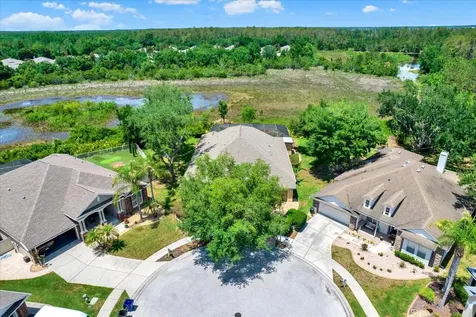 7518 Ambleside Drive Land O Lakes FL 34637