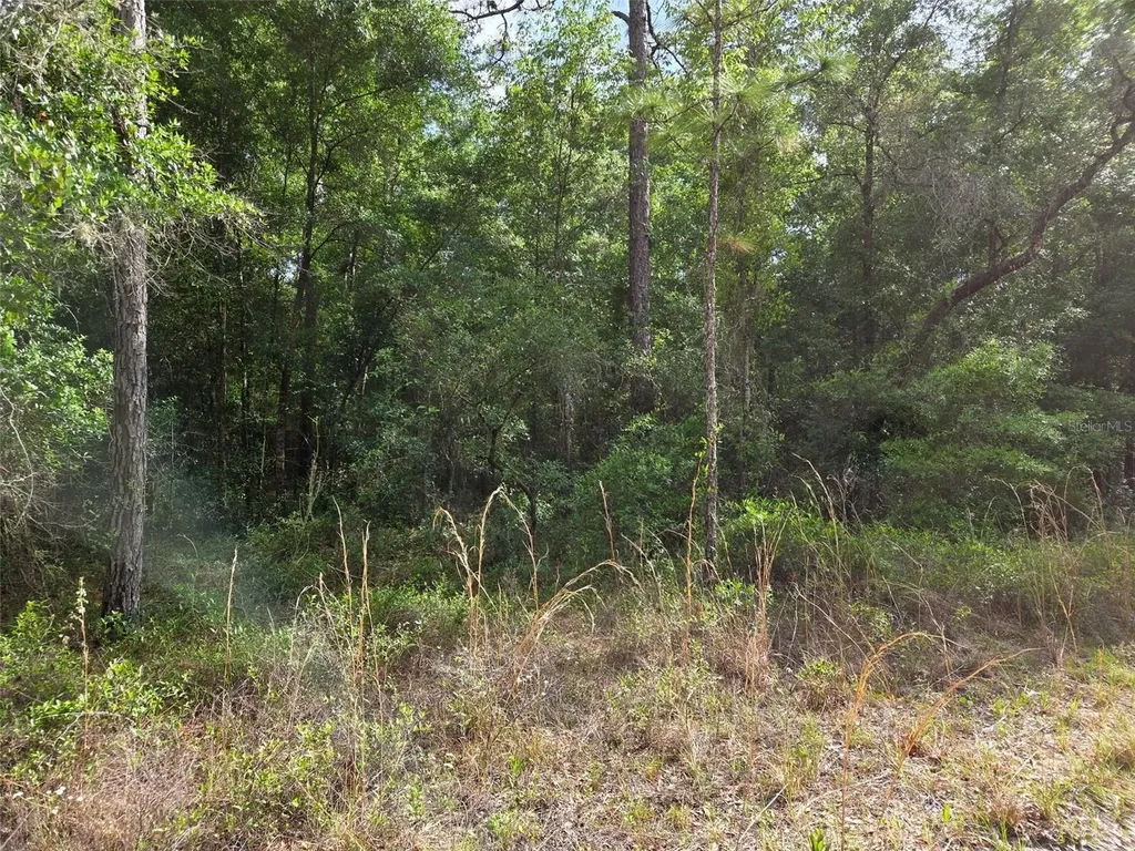 0000 NE 85th Street Bronson FL 32621