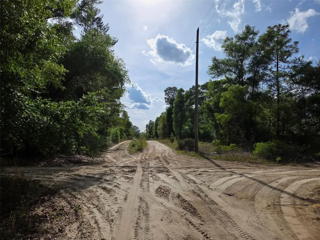 0000 NE 85th Street Bronson FL 32621