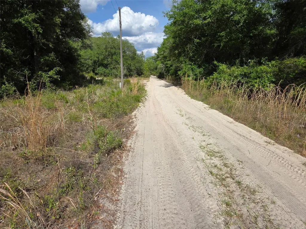 0000 NE 85th Street Bronson FL 32621