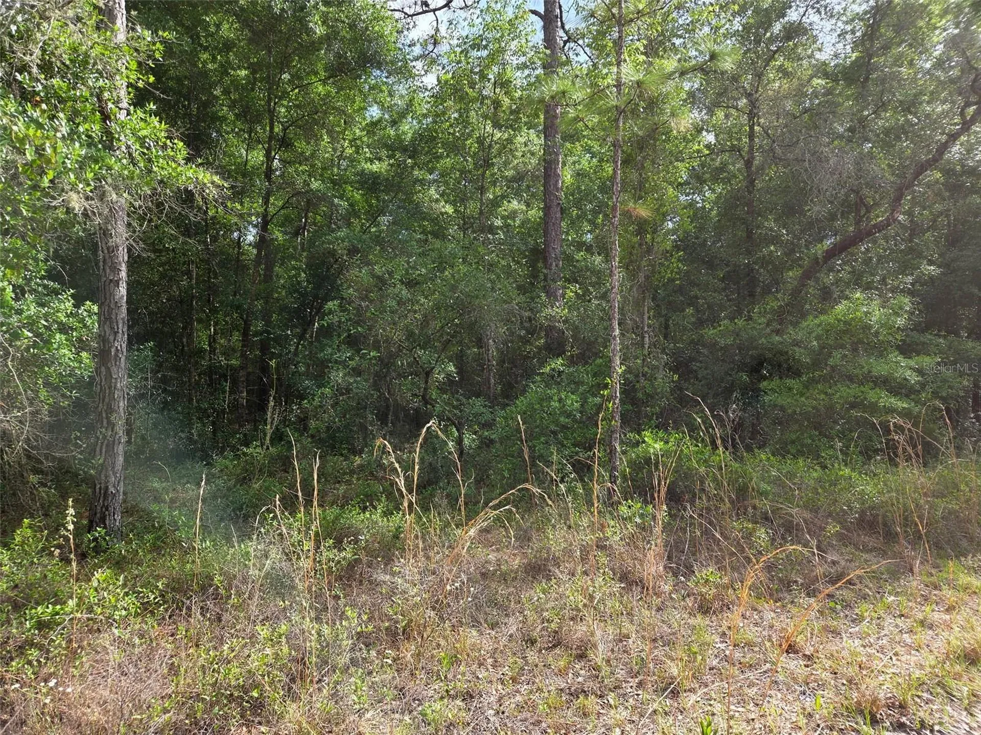 0000 NE 85th Street Bronson FL 32621