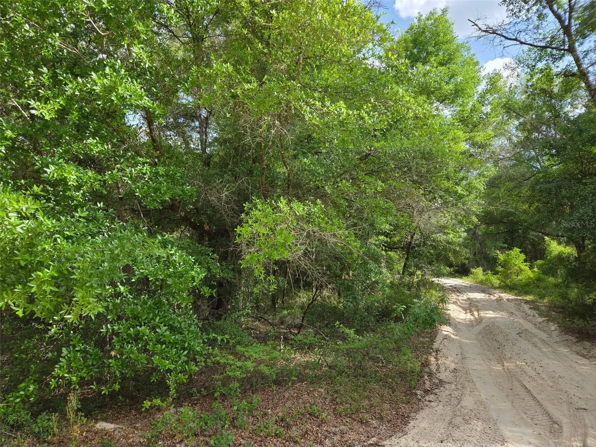 0000 NE 85th Street Bronson FL 32621