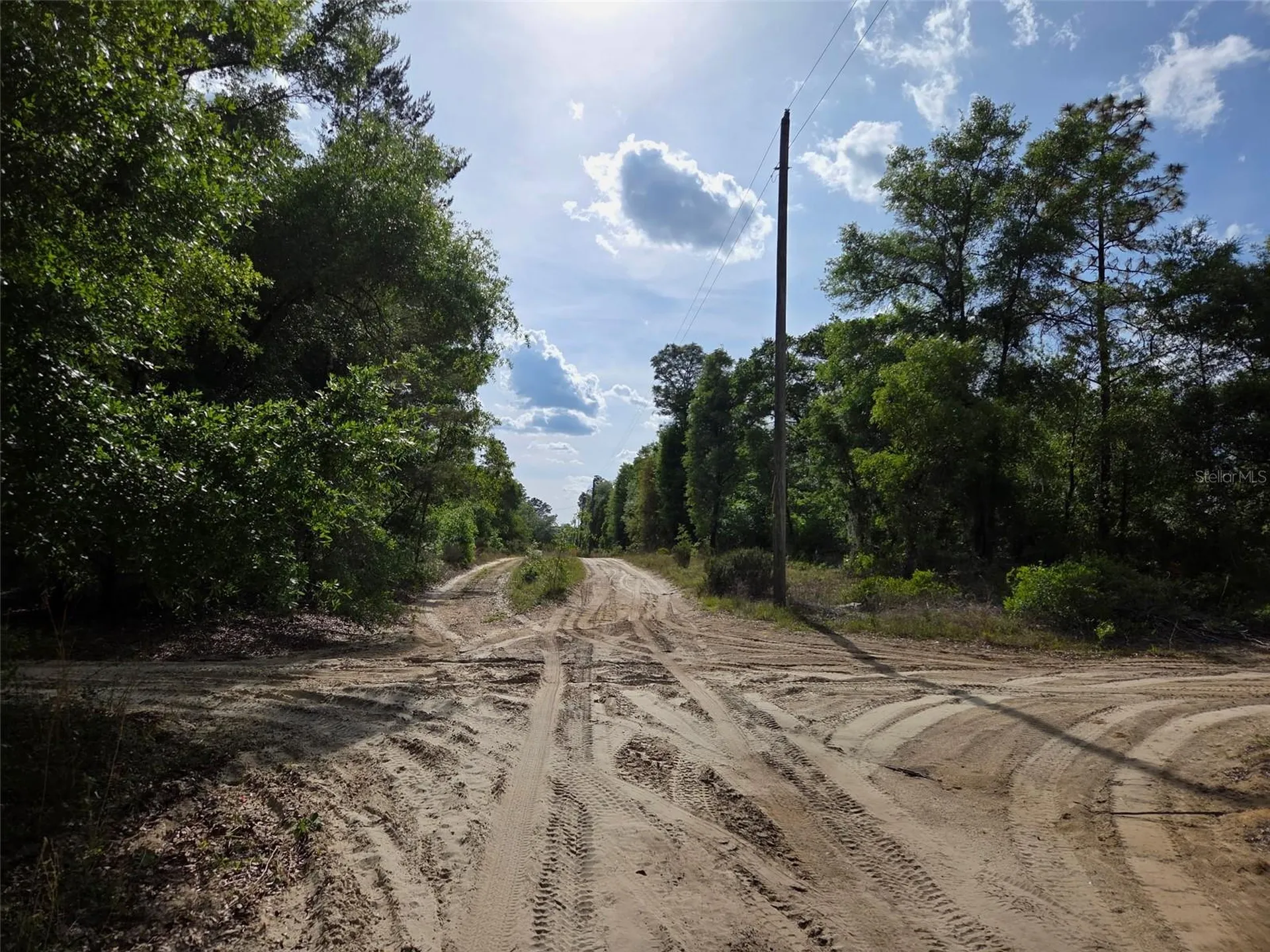 0000 NE 85th Street Bronson FL 32621
