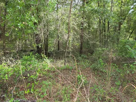 0000 NE 85th Street Bronson FL 32621