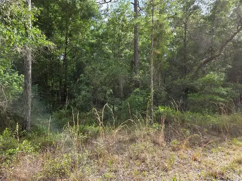 0000 NE 85th Street Bronson FL 32621
