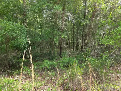0000 NE 85th Street Bronson FL 32621