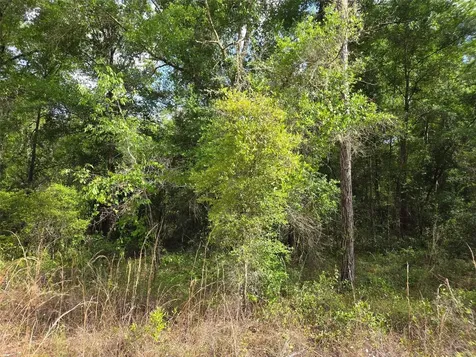 0000 NE 85th Street Bronson FL 32621