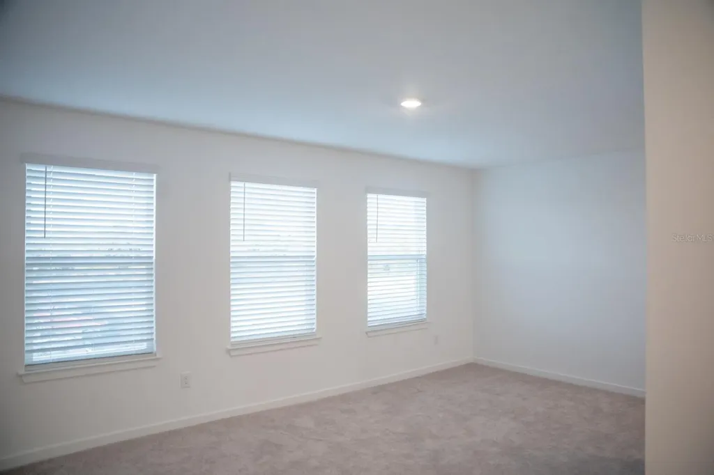 33410 Barnebrook Drive Wesley Chapel FL 33545