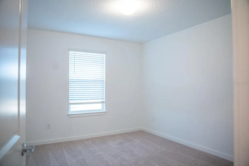 33410 Barnebrook Drive Wesley Chapel FL 33545