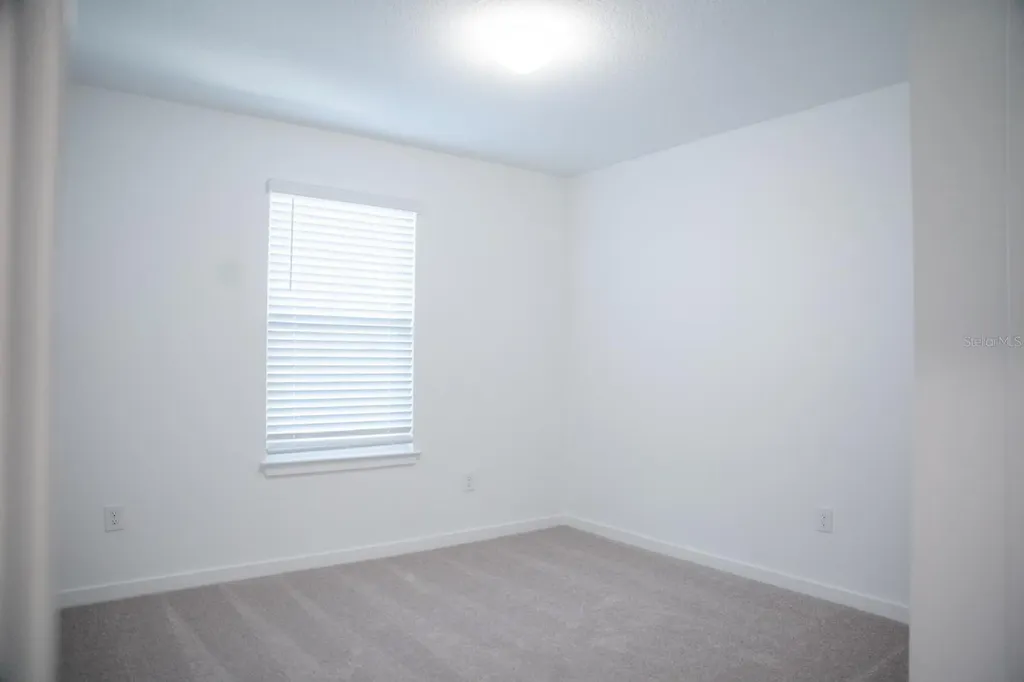 33410 Barnebrook Drive Wesley Chapel FL 33545