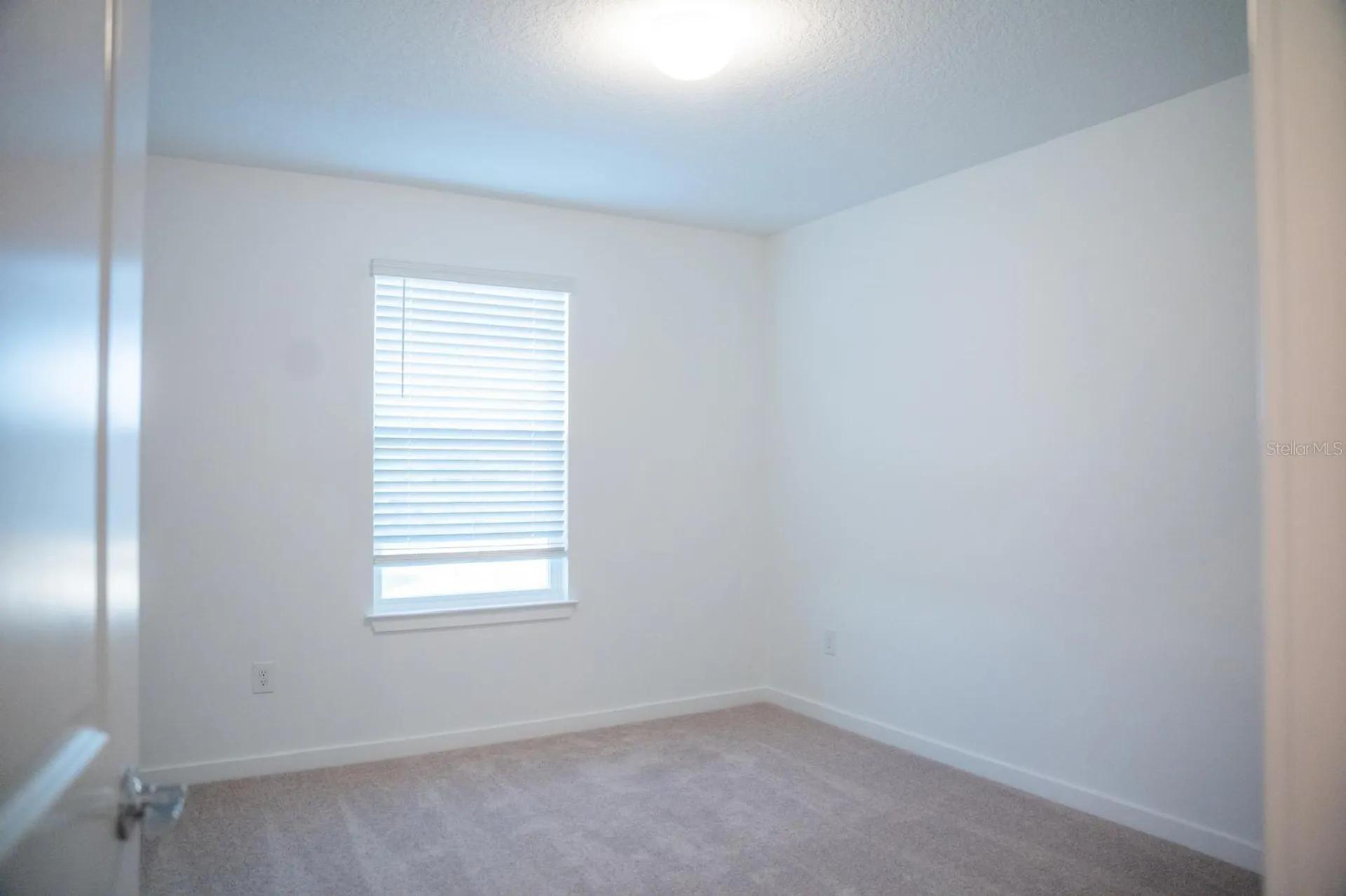 33410 Barnebrook Drive Wesley Chapel FL 33545