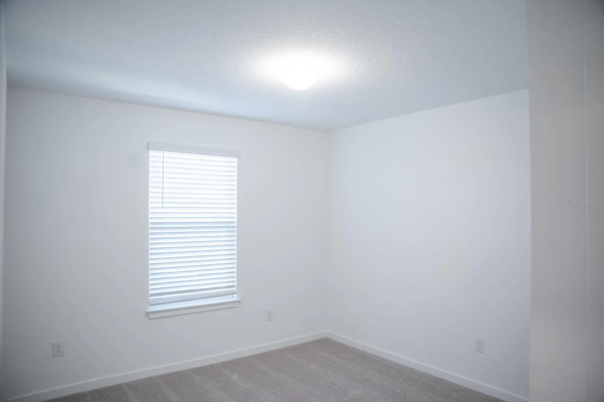 33410 Barnebrook Drive Wesley Chapel FL 33545