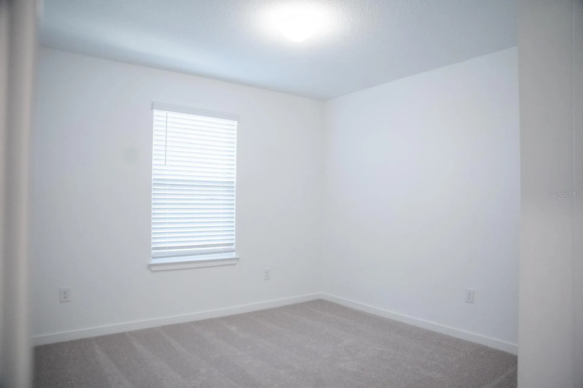 33410 Barnebrook Drive Wesley Chapel FL 33545