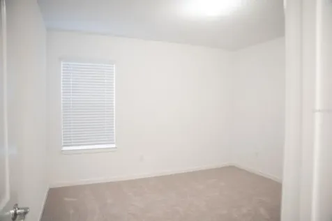 33410 Barnebrook Drive Wesley Chapel FL 33545