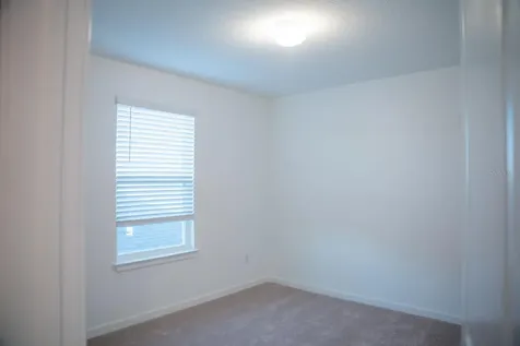 33410 Barnebrook Drive Wesley Chapel FL 33545
