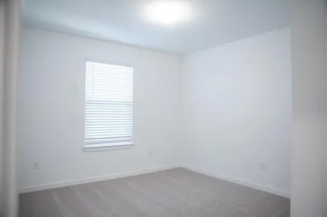 33410 Barnebrook Drive Wesley Chapel FL 33545