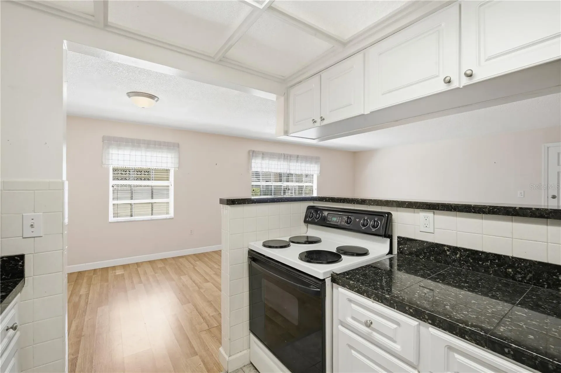 4315 Aegean Drive Tampa FL 33611