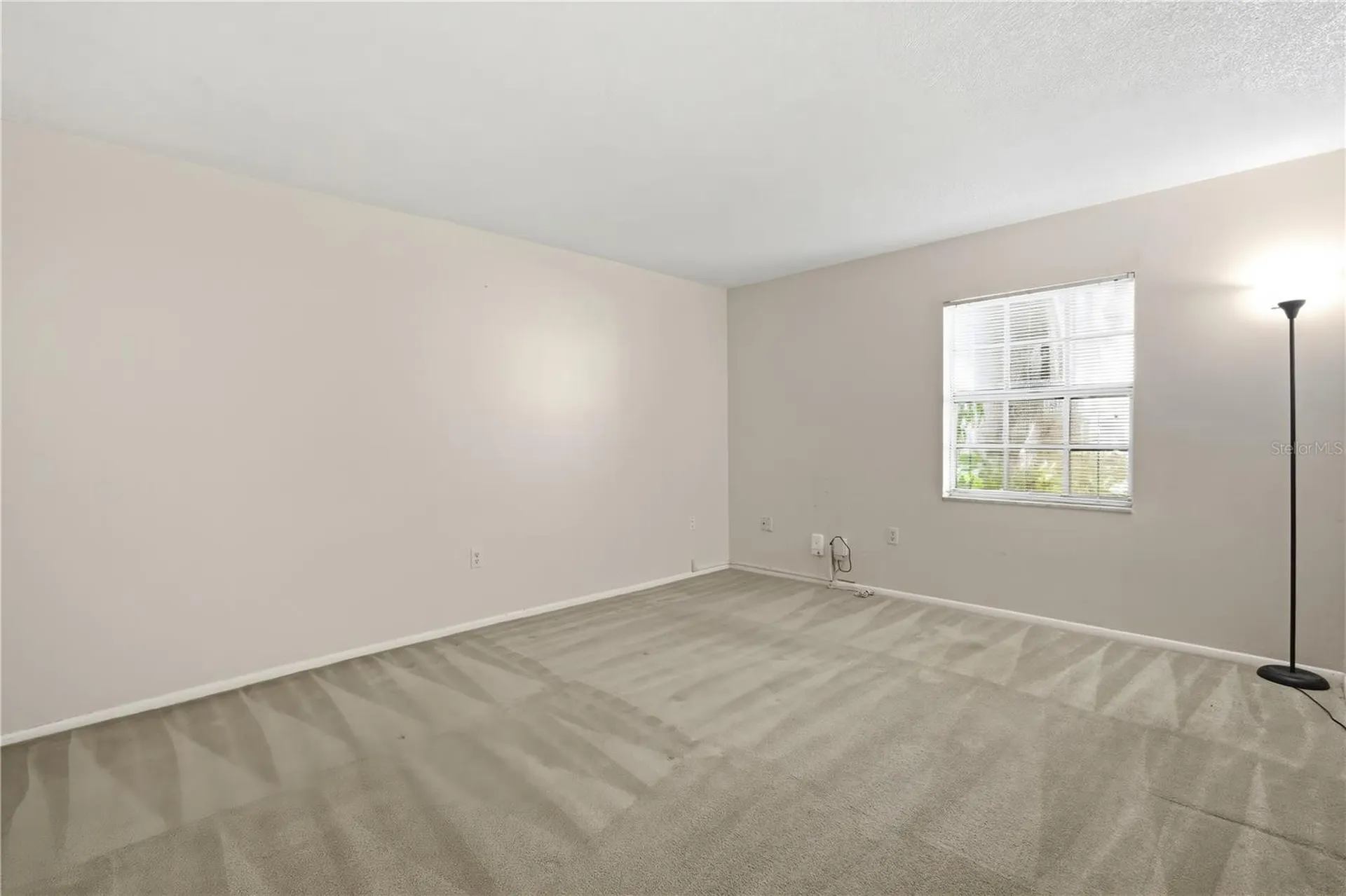 4315 Aegean Drive Tampa FL 33611
