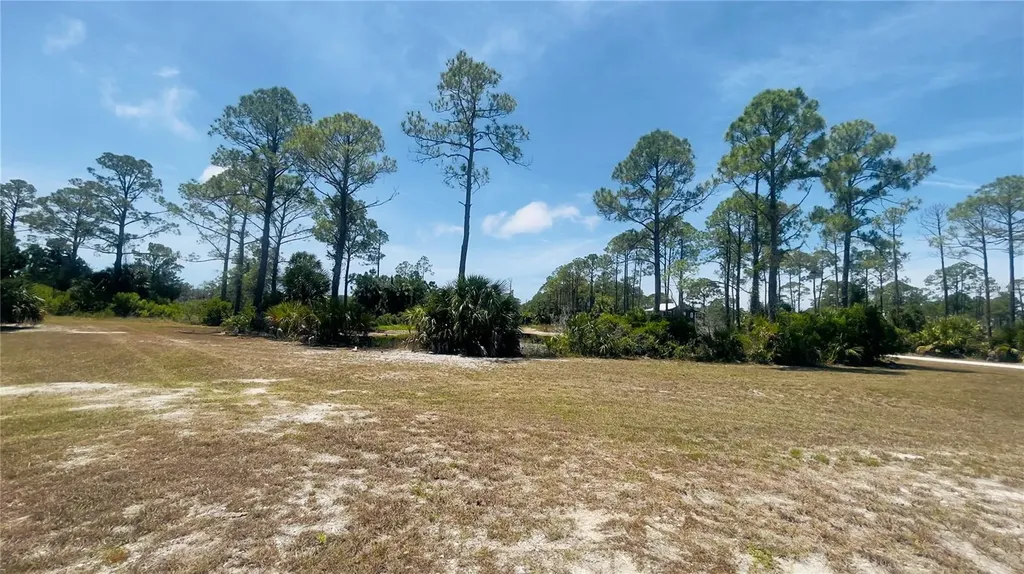 Tbd SW 101st Lane Cedar Key FL 32625