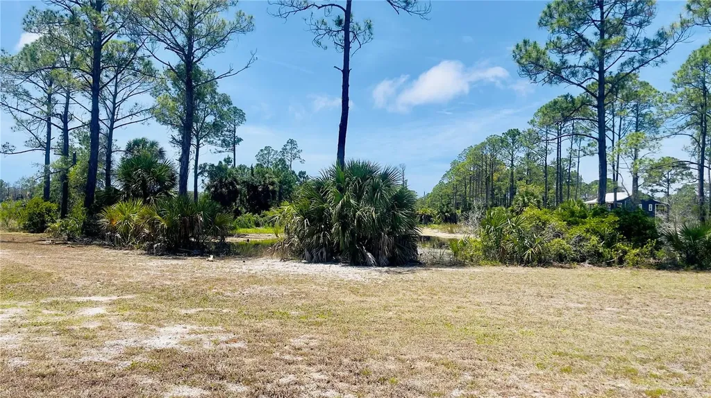 Tbd SW 101st Lane Cedar Key FL 32625