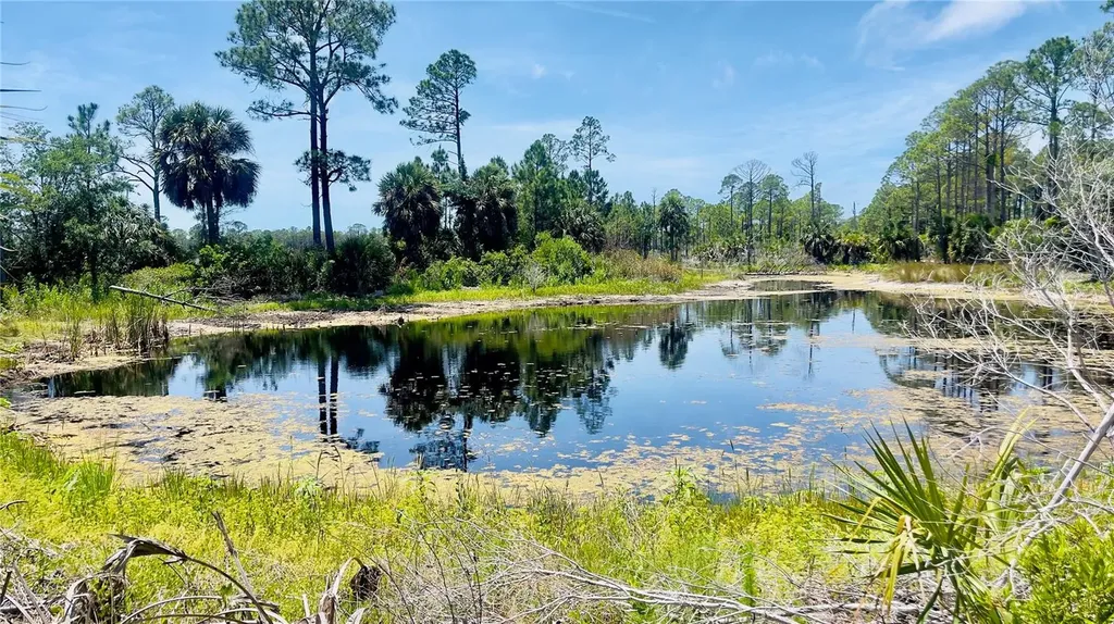 Tbd SW 101st Lane Cedar Key FL 32625
