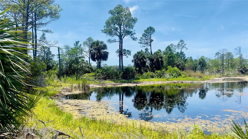 Tbd SW 101st Lane Cedar Key FL 32625