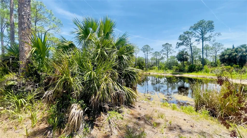 Tbd SW 101st Lane Cedar Key FL 32625