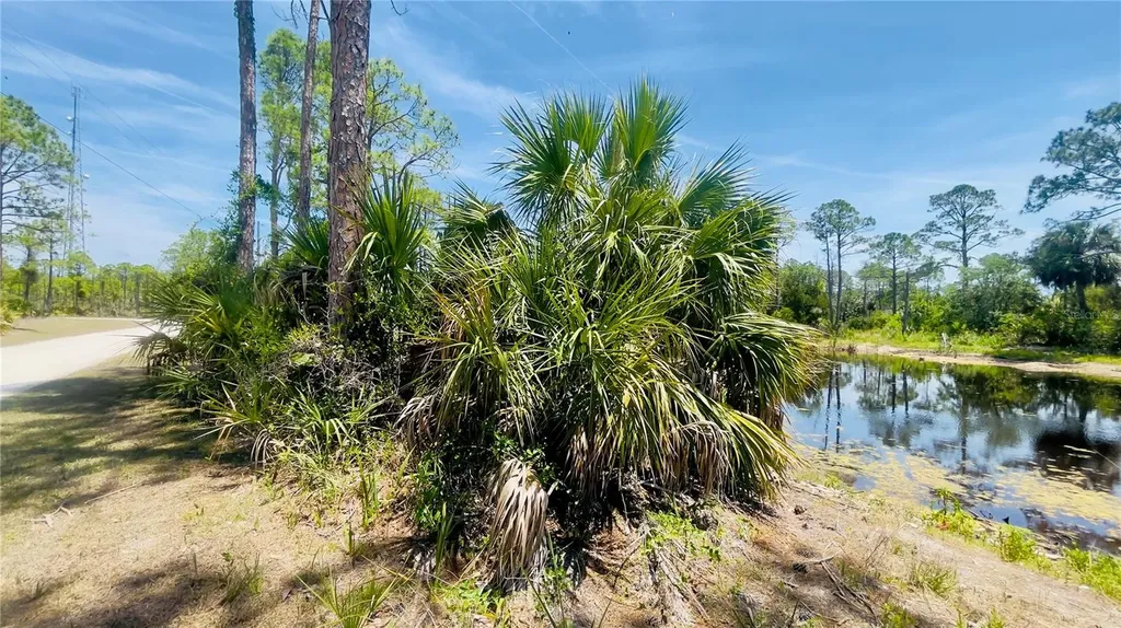 Tbd SW 101st Lane Cedar Key FL 32625