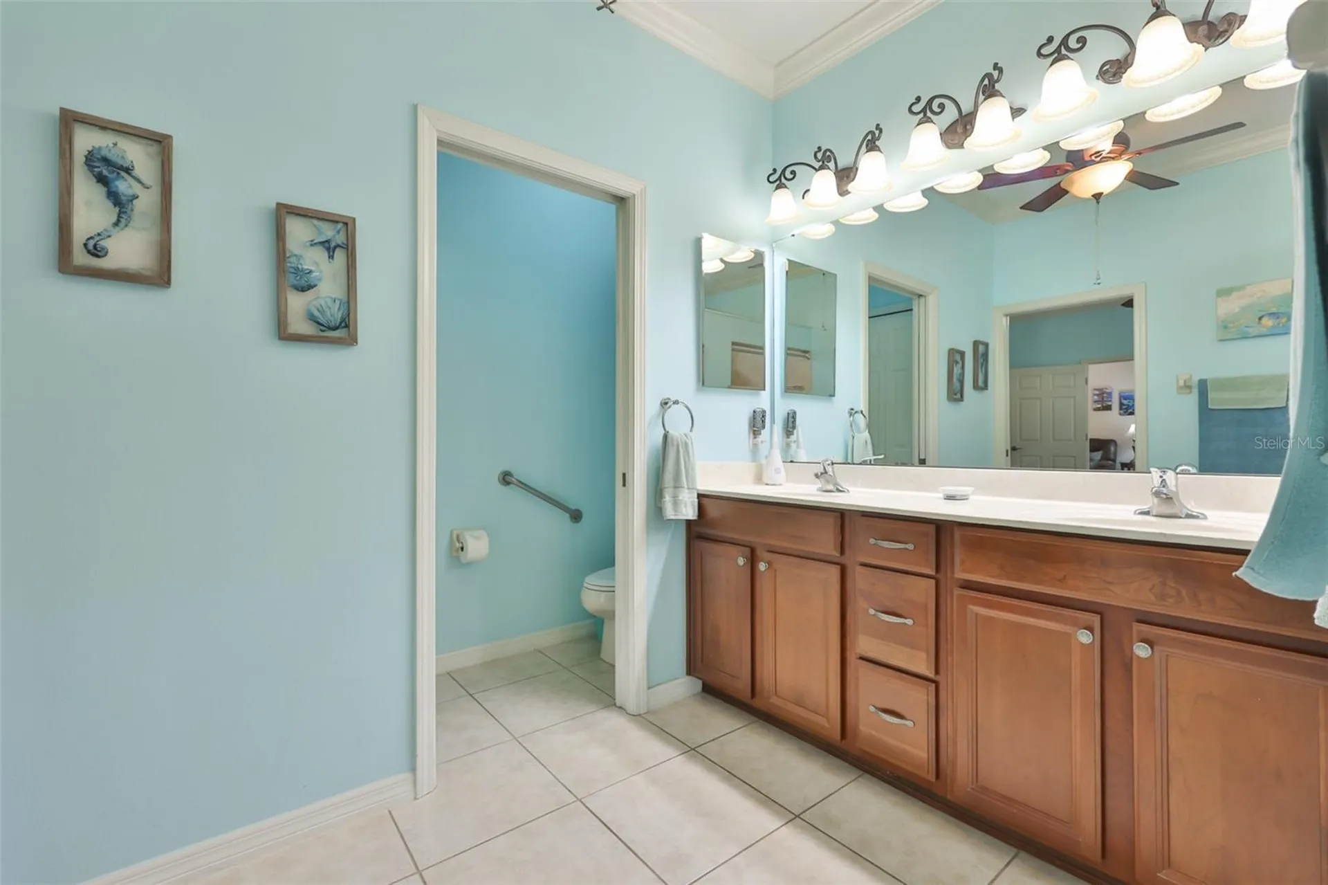 147 Silver Falls Drive Apollo Beach FL 33572