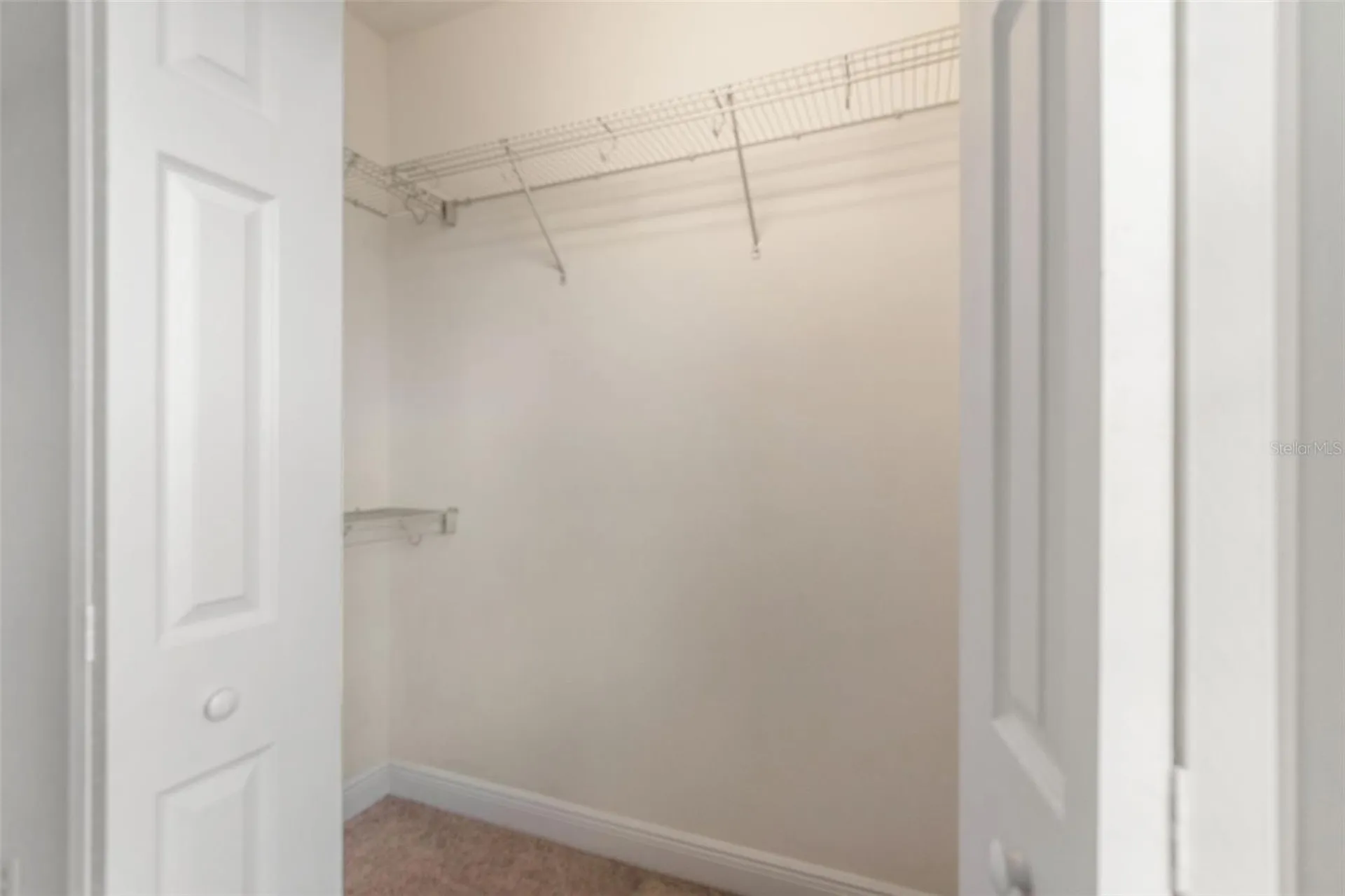 11618 Crowned Sparrow Lane Tampa FL 33626