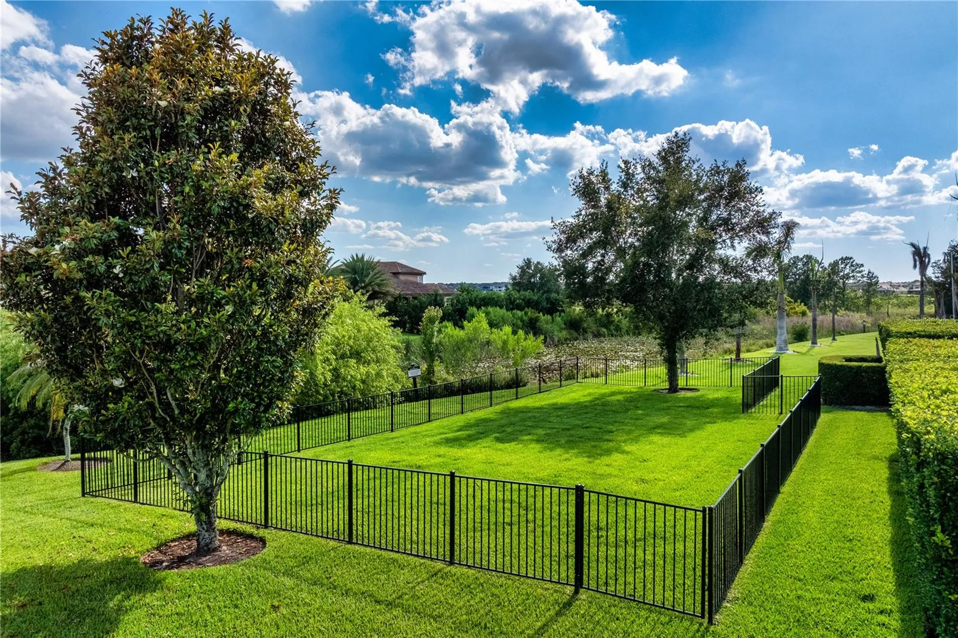 15047 Gaulberry Run Winter Garden FL 34787
