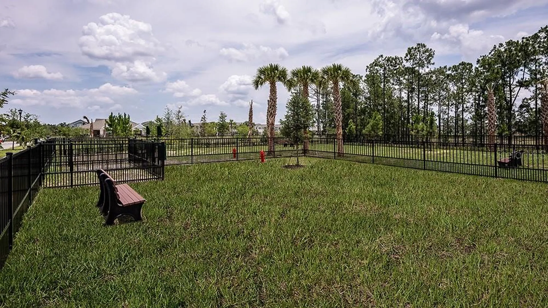 14784 Field Daisy Drive Winter Garden FL 34787